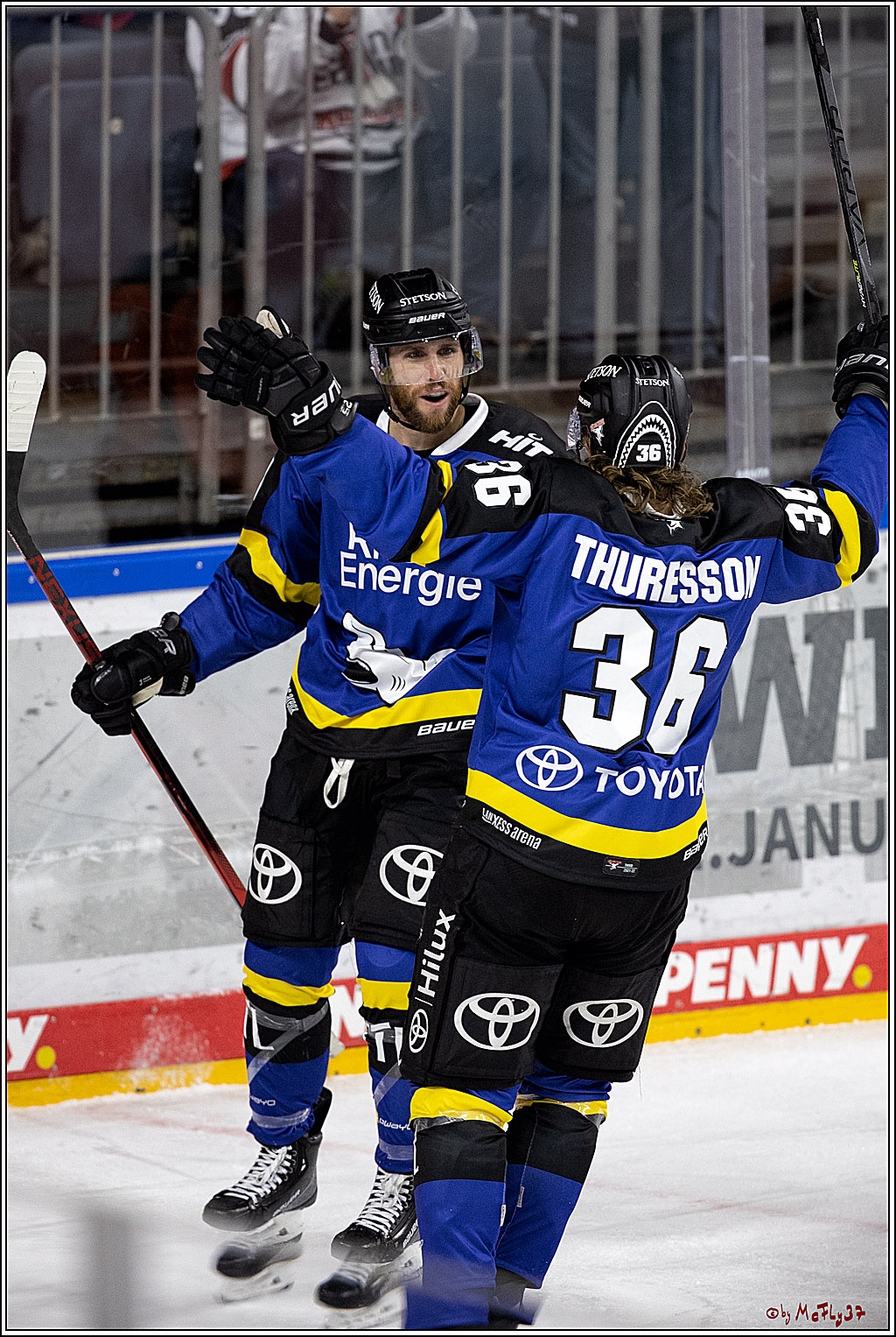 PENNY DEL;  Koelner Haie - Grizzlys Wolfsburg; Koeln, 25.11.2021